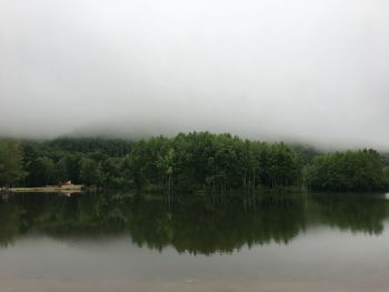 Scenic view of lake by trees against sky