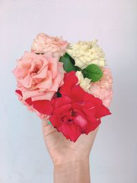 Close-up of hand holding rose bouquet against white background