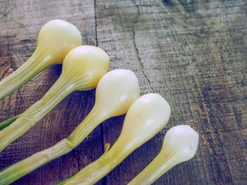 High angle view of scallions on table