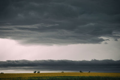 Scenic view of field against sky