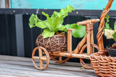 Close-up of potted plant in basket on table