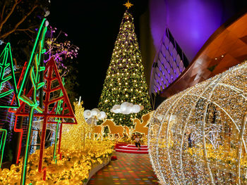 Illuminated christmas tree at night