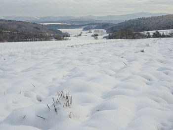 Scenic view of snow covered field