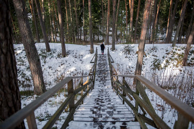 Distant view of woman standing on snow covered steps against trees in forest