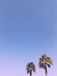 Low angle view of coconut palm tree against clear blue sky