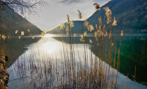 Scenic view of lake against sky during sunset