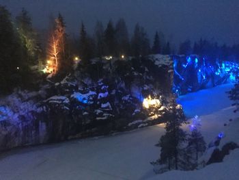 Illuminated trees against sky at night during winter