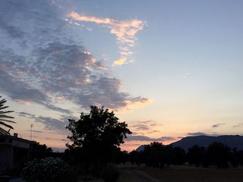 Silhouette of trees at sunset