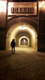 Rear view of man walking in illuminated building