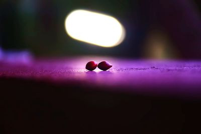 Close up of fruits