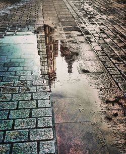 Reflection of trees in puddle