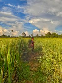 Scenic view of field against sky