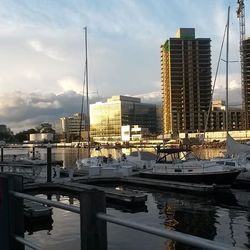 Boats moored at harbor