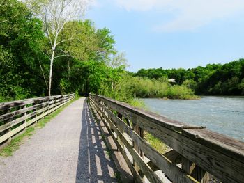 Walkway amidst trees against sky