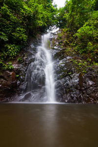 River flowing through forest