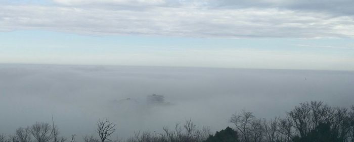 Panoramic view of trees against sky