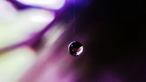 Close-up of water drop on leaf