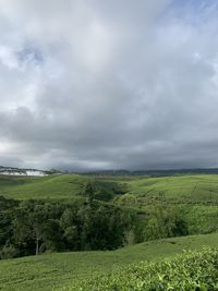 Scenic view of landscape against sky