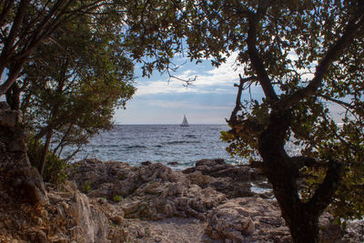 Scenic view of sea against sky