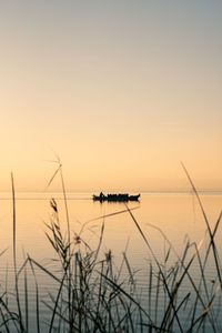 Boat in valencia's albufera at sunset against the light