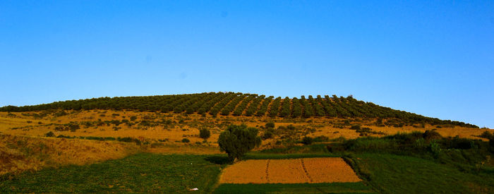 Scenic view of landscape against clear blue sky