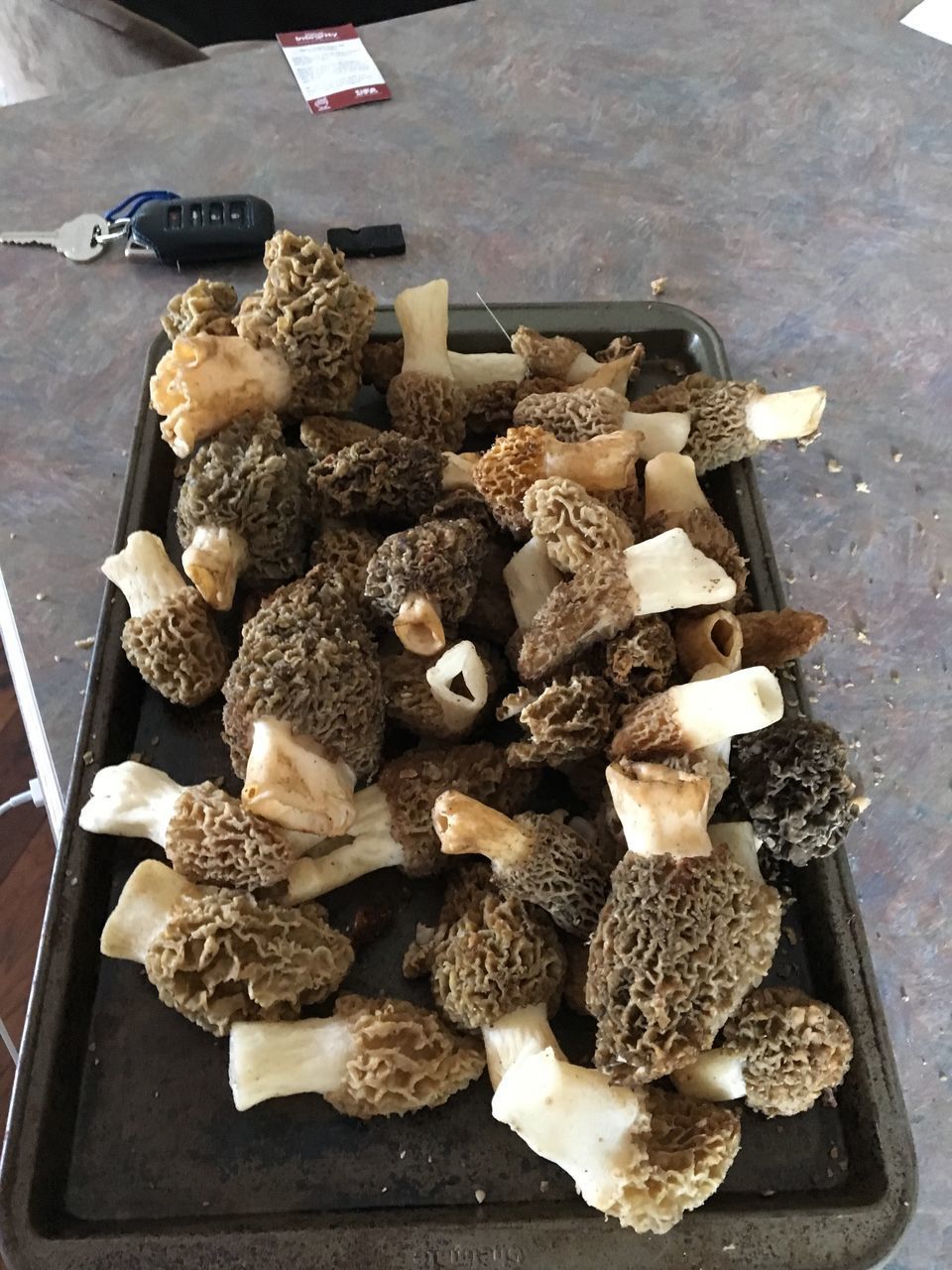 HIGH ANGLE VIEW OF MUSHROOMS ON WOODEN TABLE