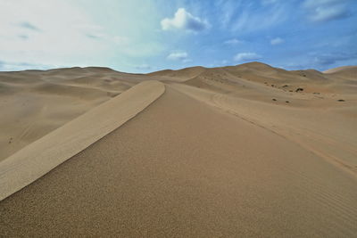 Chains of moving and stationary sand dunes of up to 500 ms.cover the badain jaran desert. china-1059