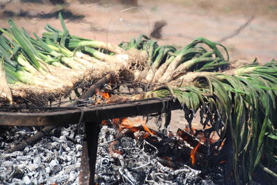 Close-up of bonfire on barbecue