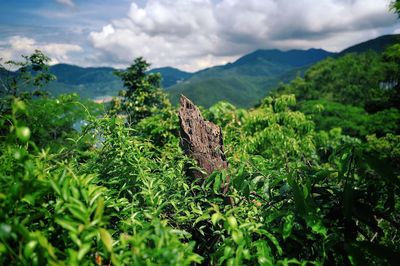 Scenic view of land and mountains against sky