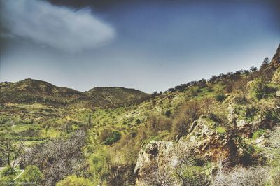 Scenic view of landscape