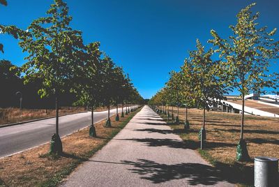 Footpath amidst trees against clear blue sky