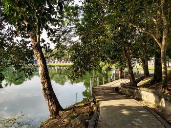 Footpath amidst trees and plants in lake