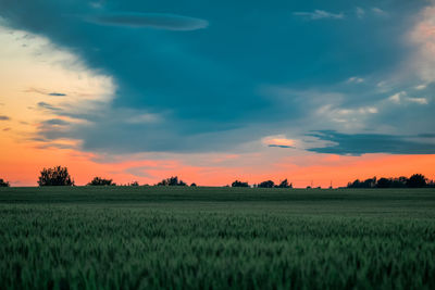 Scenic view of agricultural field against sky during sunset