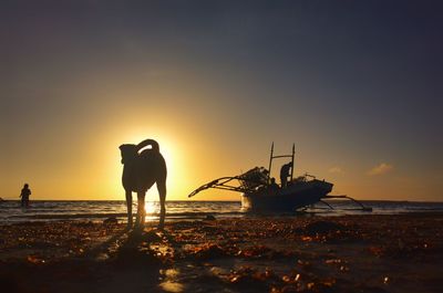 Silhouette people on beach against sky during sunset