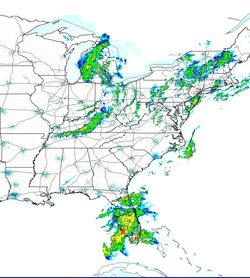 Low angle view of flowers