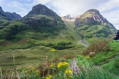 Scenic view of field against mountains