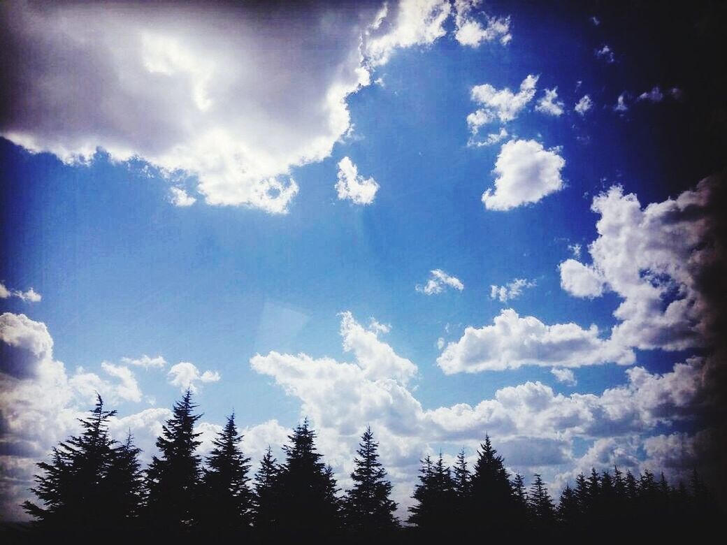 sky, cloud - sky, tree, nature, low angle view, forest, scenics, beauty in nature, tranquility, no people, tranquil scene, treetop, outdoors, sunbeam, landscape, day