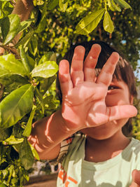 Close-up of hands holding leaves