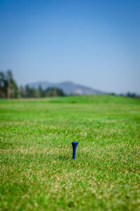 Tee on golf course against clear blue sky