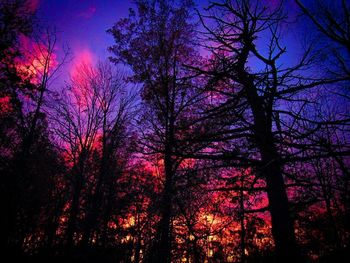 Low angle view of bare trees against sky
