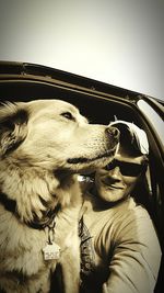 dog