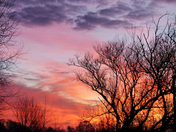 Silhouette of bare tree against cloudy sky