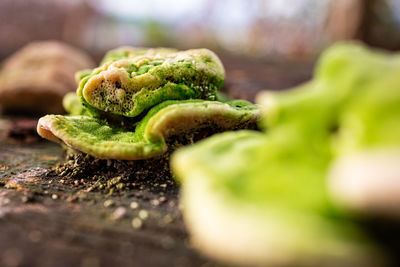 Close-up of food