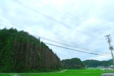 Scenic view of grassy field against sky