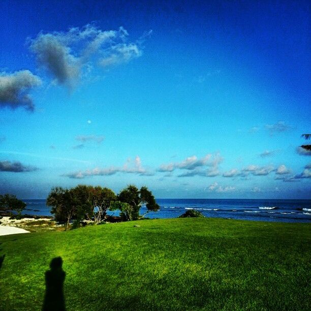 sky, water, grass, tranquil scene, sea, tranquility, scenics, beauty in nature, blue, horizon over water, nature, tree, cloud, idyllic, cloud - sky, landscape, growth, green color, field, plant