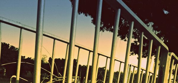 View of tree against sky