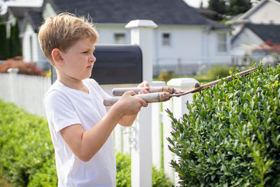 Boy cutting plants while gardening at backyard