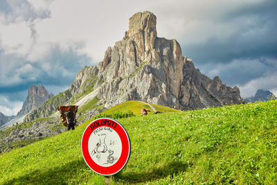 Veduta frontale del monte ra gusela dal passo giau, trentino alto adige.