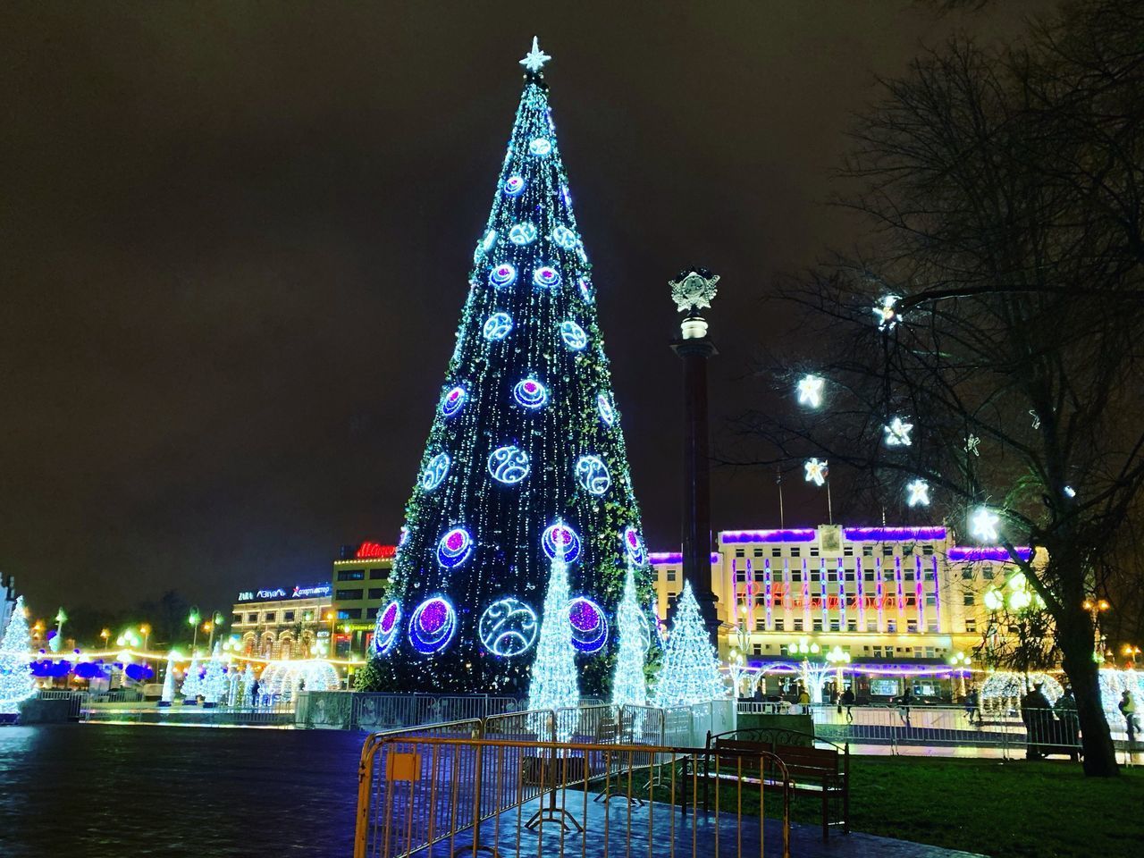 ILLUMINATED CHRISTMAS TREE BY BUILDING AT NIGHT