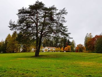 Trees on field against sky during autumn